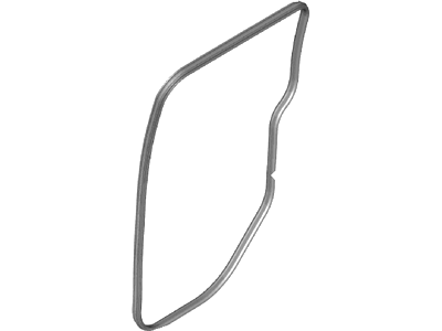 Ford DT1Z-6125324-A Body Weatherstrip
