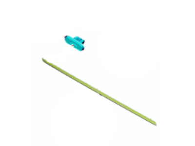 Ford JL7Z-7820878-A Lower Molding