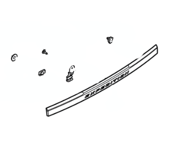 Ford FL1Z-5443400-A License Shield