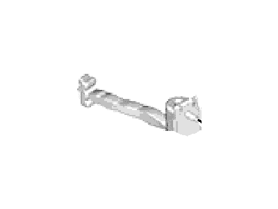 Ford DP5Z-5427204-A Door Check