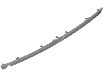 Ford D2BZ-9925510-A Molding