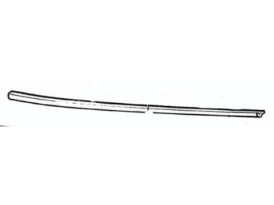 Ford F1ZZ-6121453-A Belt Weatherstrip