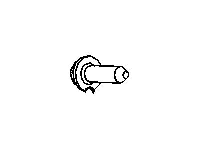 Ford -W506823-S437 Side Molding Screw