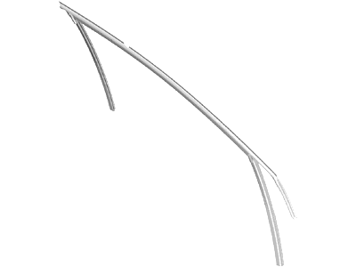 Ford CJ5Z-7821596-B Run Channel