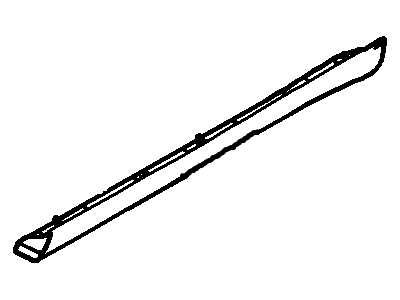 Ford AG1Z-5420878-AA Side Molding