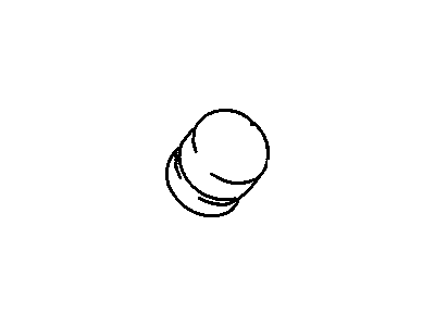 GM 91177364 Valve Lifters