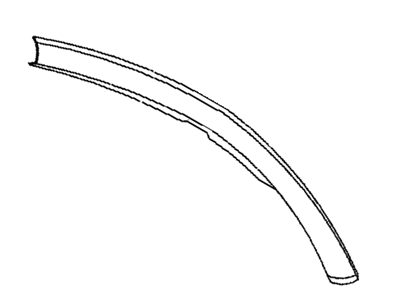 GM 21996294 Drip Molding