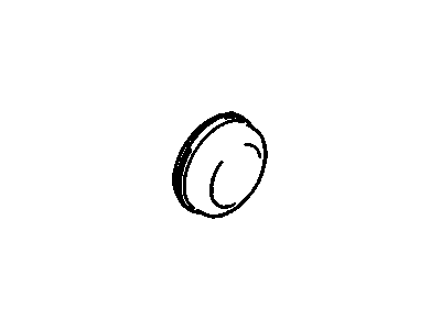 GM 96062134 Rear Wheel Bearing Lubricant Cap