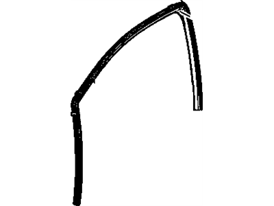 GM 95379897 Run Weatherstrip