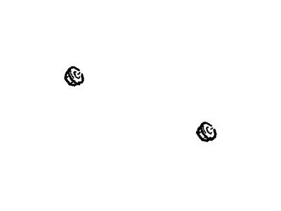 GM 20733729 Spoiler Nut