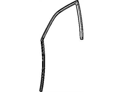 GM 10294035 Run Weatherstrip