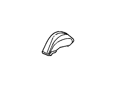 GM 15598176 PANEL, Fuel Door & Body Side