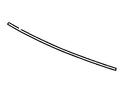 GM 20787558 Outer Molding