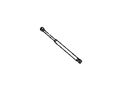 GM 16604428 Strut