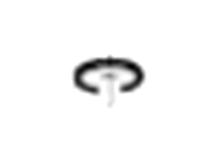 GM 13232779 Retainer, Exhaust Heat Shield