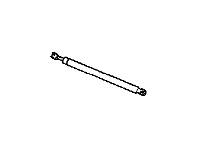 GM 84298334 Lift Cylinder