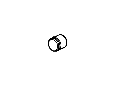 GM 6259034 Piston - Front Brake Caliper