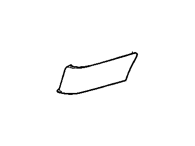 GM 12336007 Side Molding