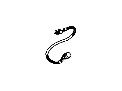 GM 12036972 Wire Asm-Coil