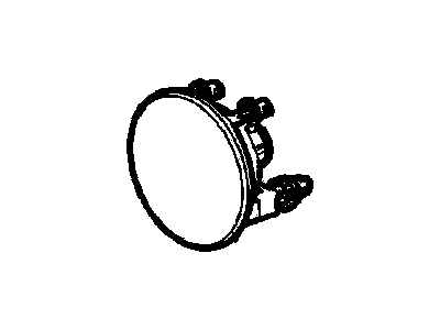 GM 15839896 Fog Lamp Bulb
