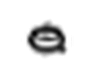 GM 12645086 Seal-Piston Oil Nozzle Oil Passage (O Ring)