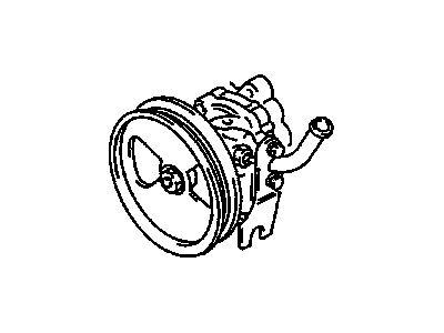 GM 30019891 Pump, Power Steering
