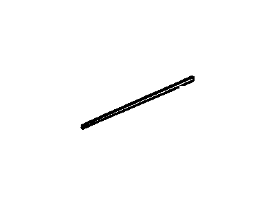 GM 19257892 Body Side Molding