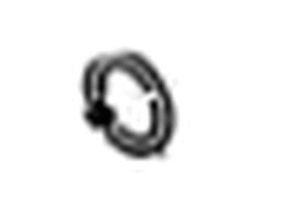 GM 23206807 Seal-Differential Drive Pinion Gear (O Ring)