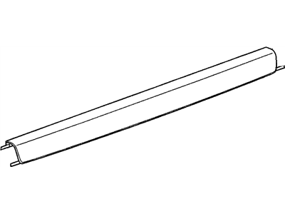 GM 25808206 Edge Molding