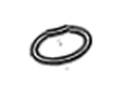 GM 12645181 Seal-Fuel Pump Housing (O Ring)