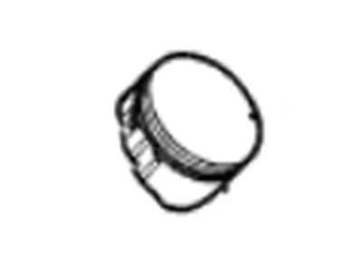GM 19178597 Piston, (W/Pinion)
