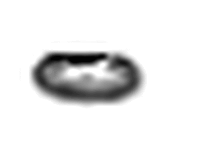GM 12686813 Injector O-Ring