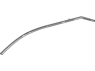 GM 10210401 Weatherstrip Asm-Roof Side Rail Auxiliary *Black