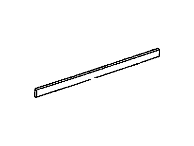 GM 94857719 Body Side Molding