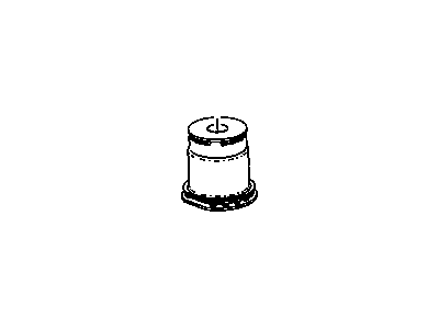 GM 13243708 Mount Bushing
