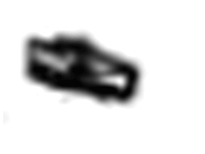 GM 11570321 Protector Nut