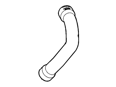 GM 95167690 Lower Hose
