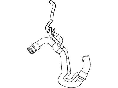 GM 19258629 Lower Hose