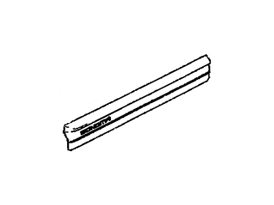 GM 12389558 Insert, Front Side Door Lower Molding RH "Sonoma"