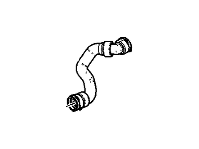 GM 95319095 Lower Hose