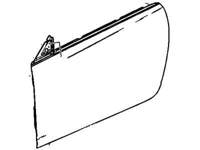 GM 20838060 Door Shell