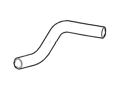 GM 23436394 Lower Hose