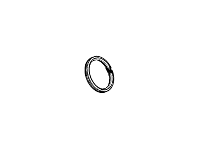 GM 55579921 Adapter Gasket