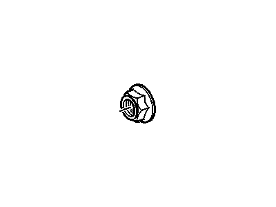 GM 89059523 Nut, Transfer Case Output Shaft Bearing