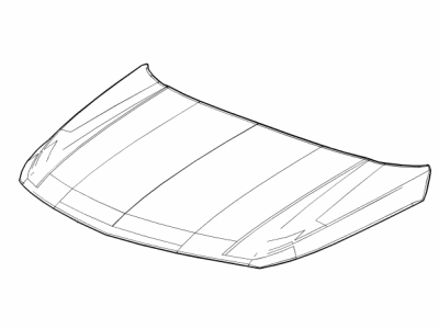 GM 42783302 Hood