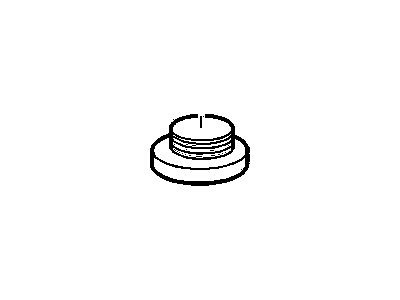 GM 22994146 Plug-Fuel Filter Drain