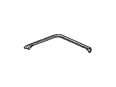 GM 20728394 Retainer-Roof Side Rail Auxiliary Weatherstrip *Black