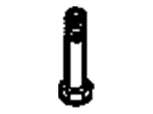 OEM Buick LeSabre Bolt-Hexagon Head - 10026678