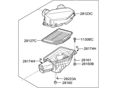 Hyundai 28121-D2000 Cleaner Assembly-Air, LH
