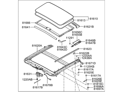 Hyundai 81600-2M010-9P Sunroof Assembly